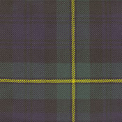 Campbell of Argyll (Modern) Tartan